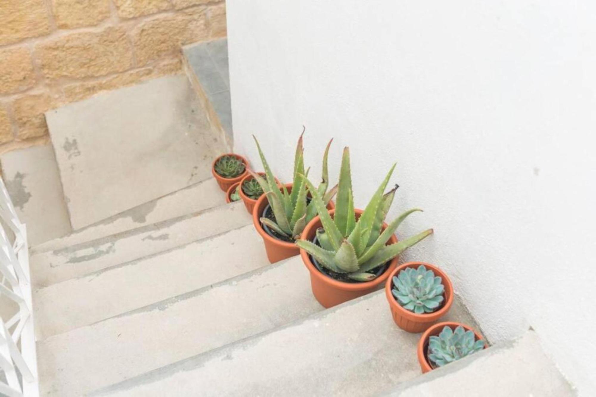 Authentic 1St Fl Apartment At The 3 Cities Marina Cospicua المظهر الخارجي الصورة